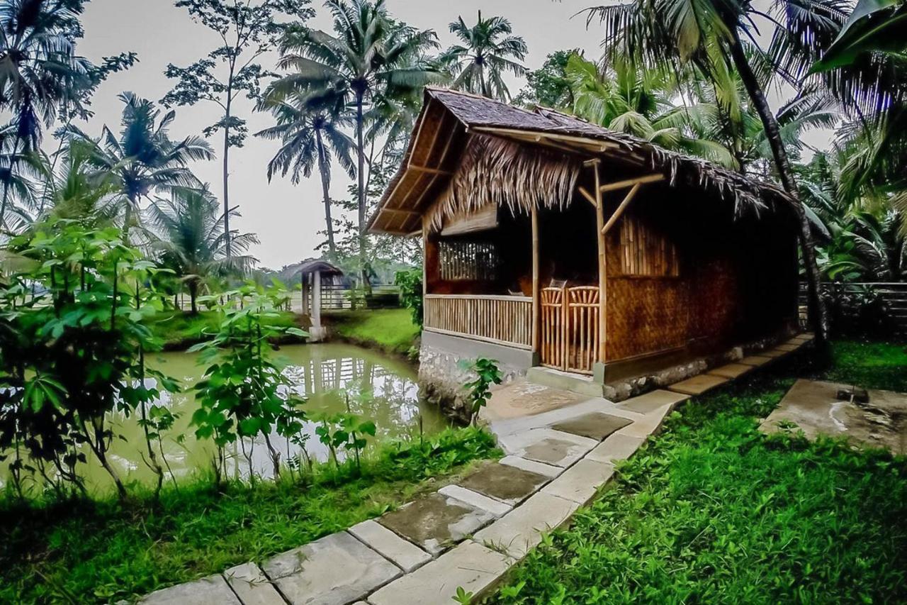 Baleku Bamboo Retreat Hotel Pangandaran Buitenkant foto